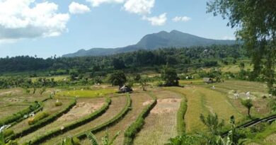 desa adat terkenal di Bali