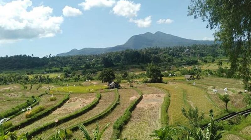 desa adat terkenal di Bali